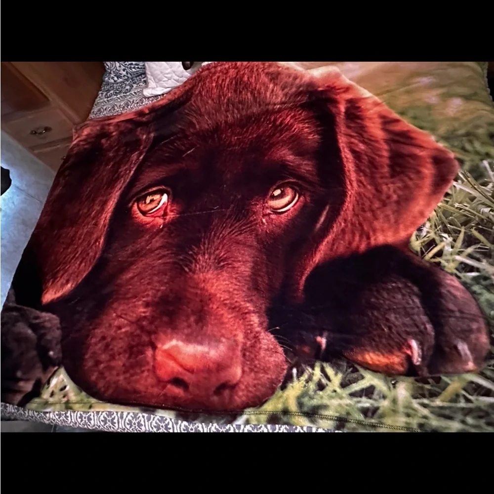 Plush Chocolate Labrador Dog Throw Blanket - Brown